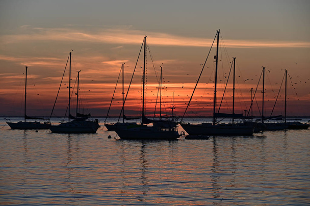 Purjeveneet ankkurissa auringonlaskun aikaan Crandon Marinassa Key Biscaynessa, Floridassa
. - Valokuva, kuva