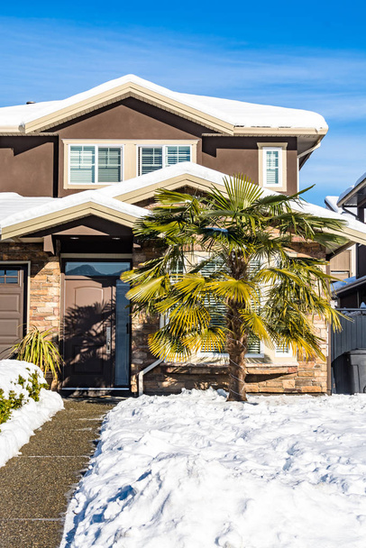 Entrée de la maison résidentielle dans la neige avec palmier tropique devant
. - Photo, image