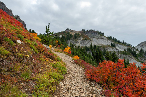 Trail to Pinnacle Peak in Fall - Fotó, kép