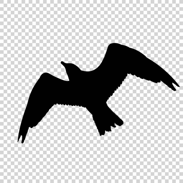 Pájaro detallado silueta negra aislado
 - Vector, Imagen