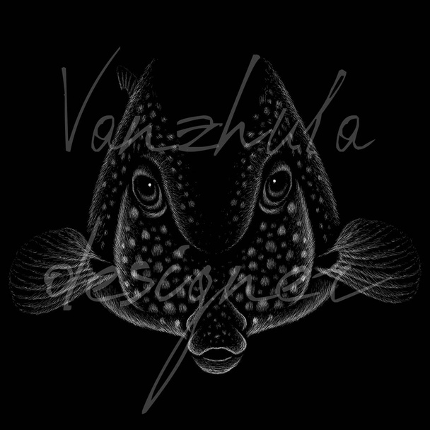 Fisch-Logo, einfach Vektorillustration   - Vektor, Bild