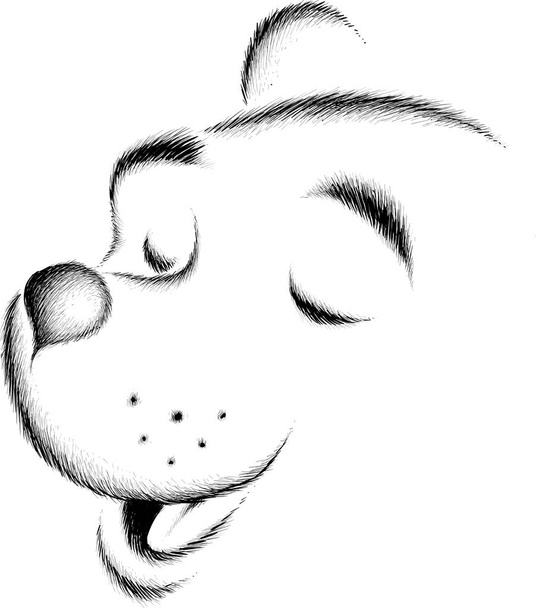 logotipo do urso para tatuagem ou design de pano, simplesmente ilustração vetorial
   - Vetor, Imagem