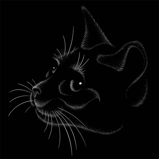 logo van kat voor tatoeage of doek ontwerp, gewoon vector illustratie   - Vector, afbeelding
