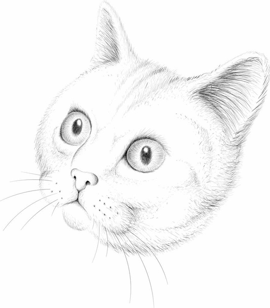 logotipo del gato para el tatuaje o el diseño de tela, ilustración vectorial simple
   - Vector, Imagen