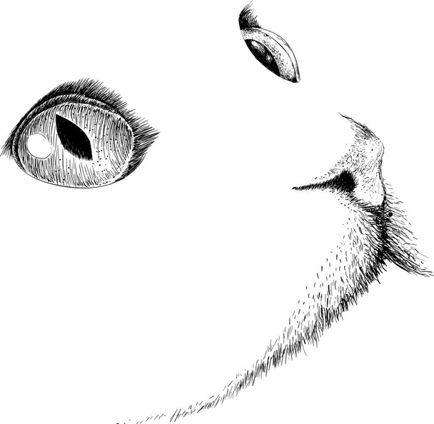 логотип кота для татуювання або дизайну тканини, просто векторна ілюстрація
   - Вектор, зображення