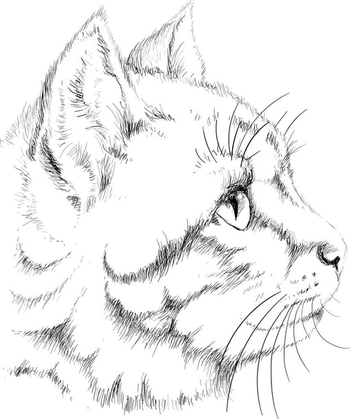 λογότυπο της γάτας για τατουάζ ή ύφασμα σχεδιασμό, απλά διανυσματική απεικόνιση   - Διάνυσμα, εικόνα