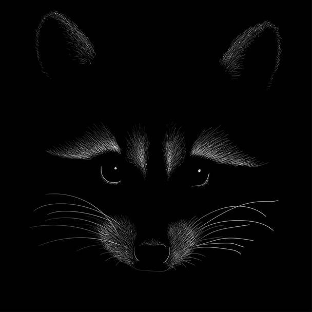 Coon poster, simply vector illustration   - Vector, Image