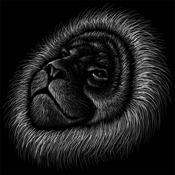 Logo des Löwen für Tätowierung oder Stoffdesign, einfach Vektorillustration   - Vektor, Bild