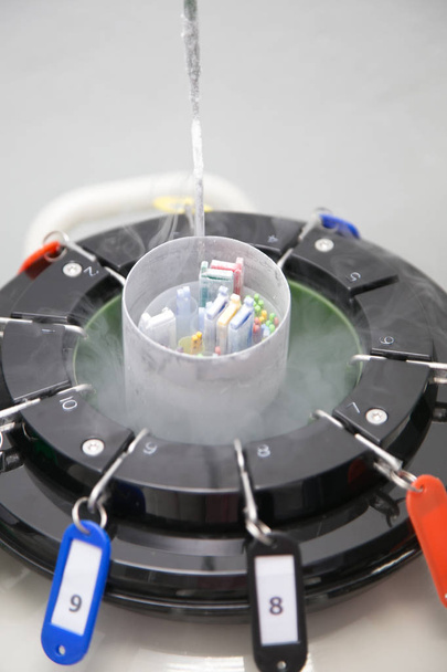 Sperm Freezing storage in liquid nitrogen tank, Laboratory infertility 1 - Photo, Image