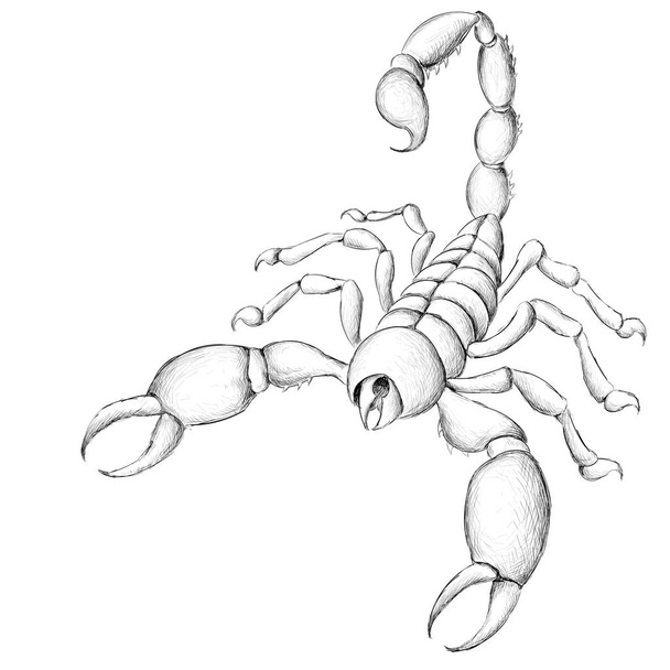 Scorpion simgesi, basitçe vektör illüstrasyonu  - Vektör, Görsel