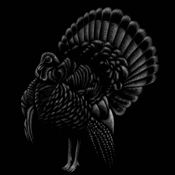 turkey icon, simply vector illustration  - Vector, Image