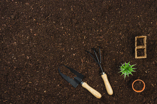 Gardening tools on soil texture background top view. - Фото, изображение