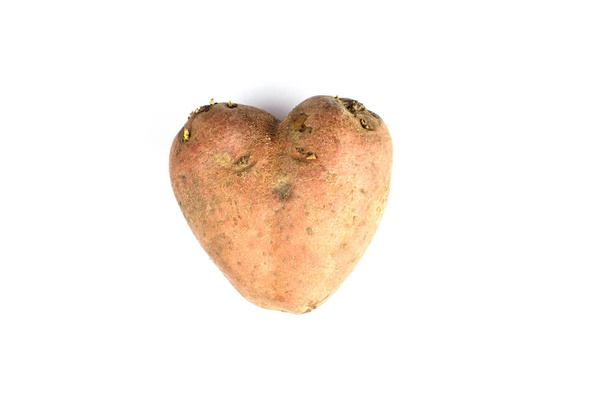 Lelijke aardappel in de hartvorm geïsoleerd. Concept voedselverspilling - Foto, afbeelding