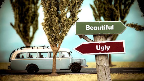 Street Sign gyönyörű versus Ugly - Fotó, kép