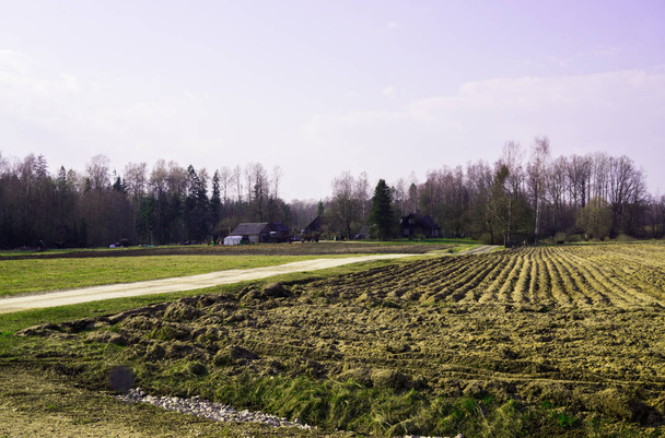 Деревенская дорога, среди обширных просторов Латвии
. - Фото, изображение