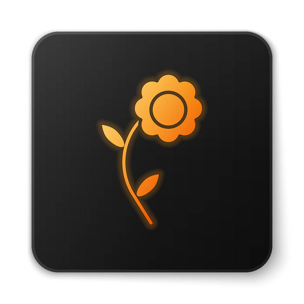 Orange glowing neon Flower icon isolated on white background. Black square button. Vector Illustration - Vektori, kuva