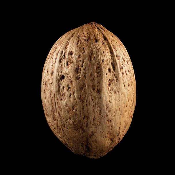 Macro shot of seed on isolated black background, close-up - 写真・画像