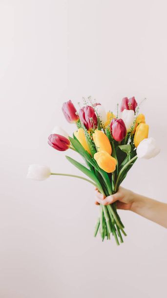 Tulipanes en las manos de una mujer de cerca sobre un fondo blanco de la pared. Mezcla de flores de tulipán de primavera. Primavera, Día Internacional de la Mujer concepto
 - Foto, Imagen