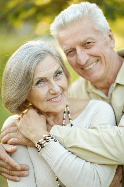 smiling senior couple embracing  in autumn  park - Photo, Image