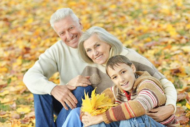 happy grandfather, grandmother  and grandson - Photo, Image