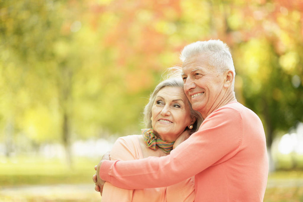 smiling senior couple embracing  in autumn  park - Fotoğraf, Görsel