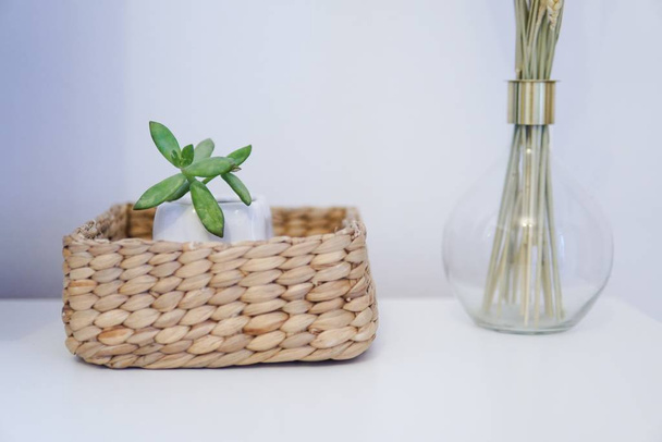 Houseplant in a weaved flowerpot near a glass vase on a white table - Foto, Bild