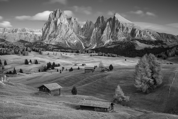 Seiser Alm, Dolomites. Black and white landscape image of Seiser Alm a Dolomite plateau and the largest high-altitude Alpine meadow in Europe. - Photo, Image