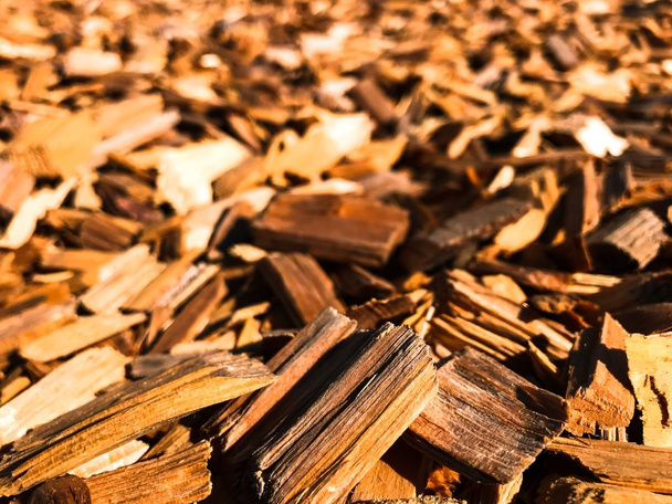 Wood chips on a sunny day with a blurry background. - Foto, Bild