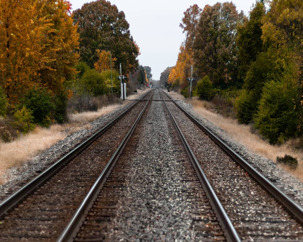 Selective focus shot of train tracks in the middle of green and yellow trees - Foto, Imagem