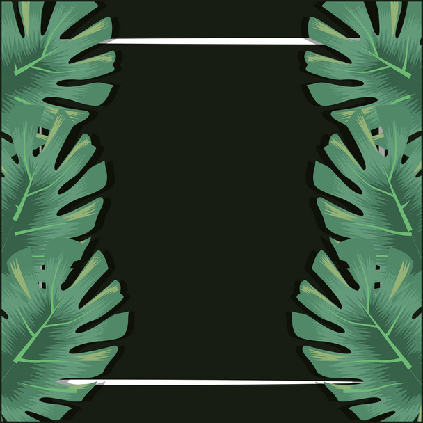 tropical leaves monstera palms decoration banner - Wektor, obraz