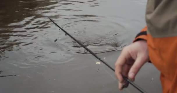 Fisherman trying to pulls out fish that swimming near boat on the hook. - Footage, Video