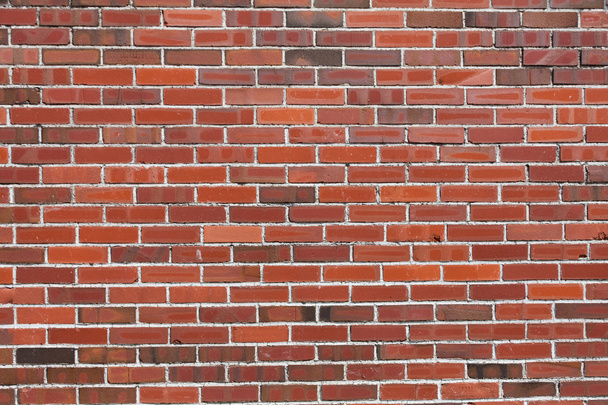 Red Brick Wall - Photo, Image