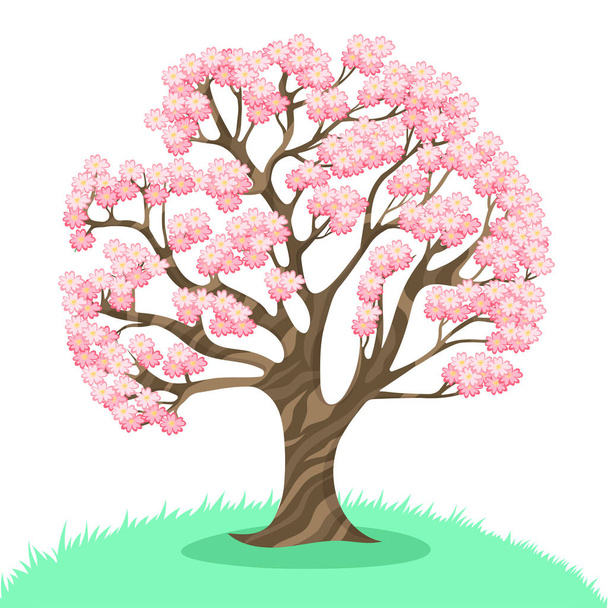 Sakura tree isolated on a white background. Vector graphics. - Вектор,изображение