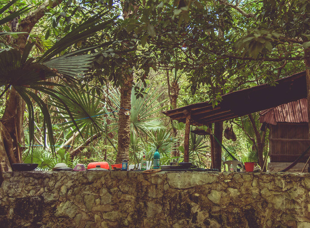 Vegetazione di un Cenote messicano su sfondo
 - Foto, immagini