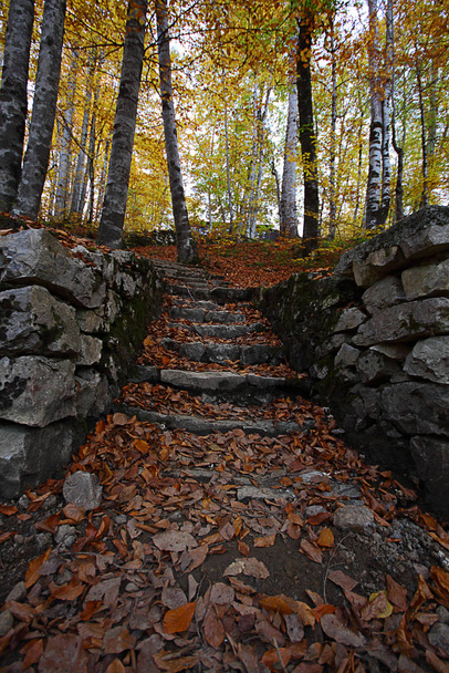 Sevenlakes National Park in Autumn Bolu Turkey. Yedigoller Milli Parki - Fotoğraf, Görsel