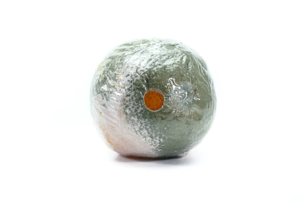 Grauschimmel wächst auf verwesender gefilmter Orange, die von zu viel Pestiziden befallen ist - Foto, Bild