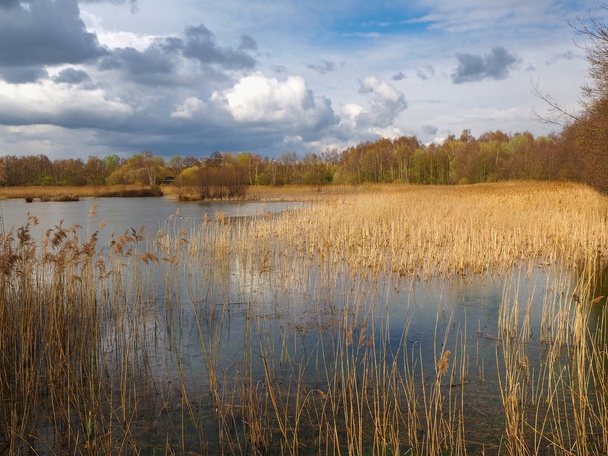 Potteric Carr Nature Reserve, South Yorkshire, Engeland - Foto, afbeelding