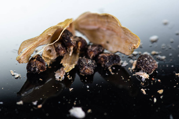 whole cardamom and broken next to test tube and cork - 写真・画像