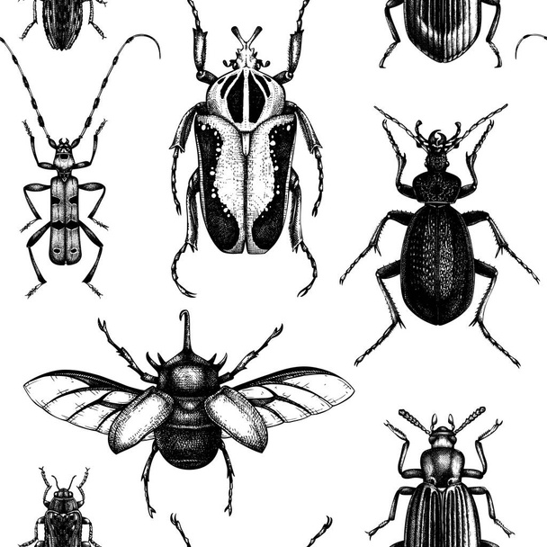 Vector background with high detailed insects sketches. Hand drawn beetles illustrations in vintage style. Entomological backdrop. Beetles seamless pattern - Vector, imagen