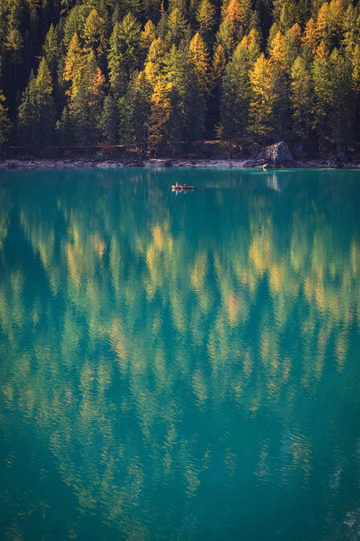 Jezero v horách je obklopeno lesem - Fotografie, Obrázek