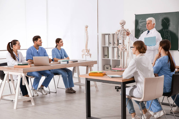Estudiantes de medicina y profesor de anatomía esquelética humana en el aula
 - Foto, imagen