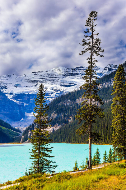 Glacial Lake Louise in Banff, Canadian Rockies. The lake with azure water is surrounded by mountains and forests. Beautiful sunny fine day. The concept of ecological, active and photo tourism - Φωτογραφία, εικόνα