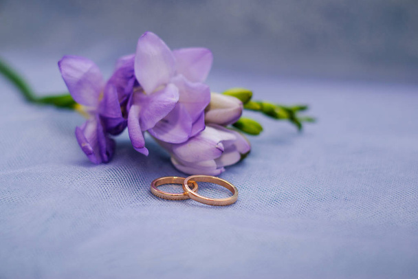 Anillos de oro de boda para la novia y el novio y una freesia púrpura
  - Foto, Imagen