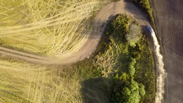 Vista aérea de arriba hacia abajo del coche de conducción rápida en el camino de tierra dejando una nube de polvo detrás. - Metraje, vídeo