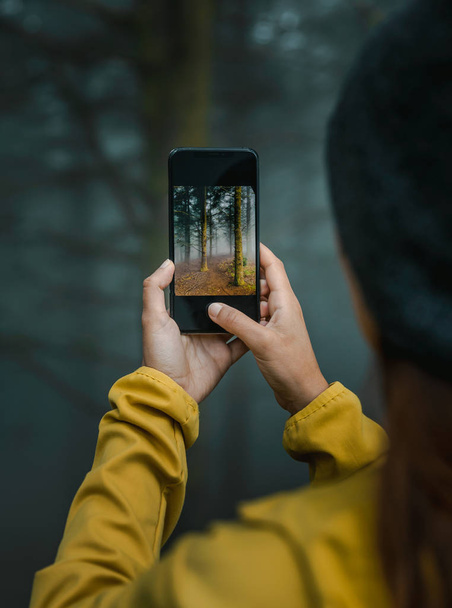Taking a picture to a forest - Photo, Image