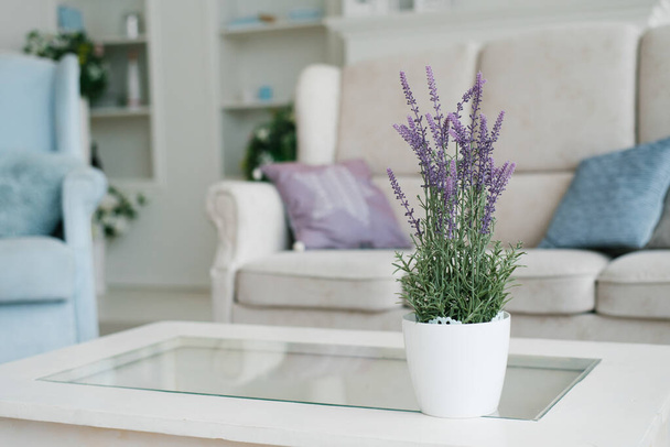 Vase mit Lavendelblüten im Innendekor des Wohnzimmers - Foto, Bild