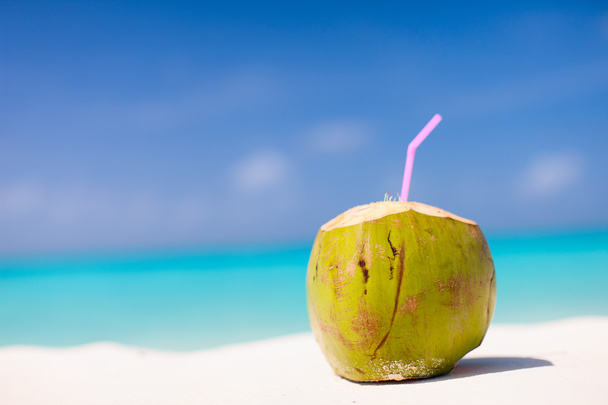 Coconut on a tropical beach - Foto, Imagen