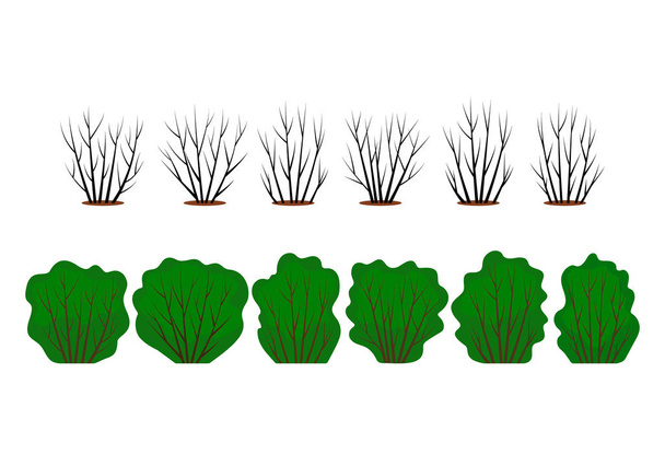 ein großer Satz abstrakter stilistischer Sträucher mit grünen Blättern und kahlen Zweigen. Verschiedene Jahreszeiten im Garten. - Vektor, Bild