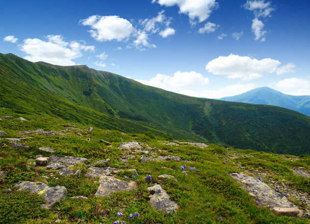 Mountain landscape in summer - Foto, Bild