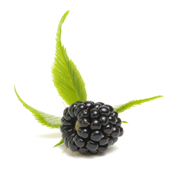 Blackberries with leaves  - Photo, Image